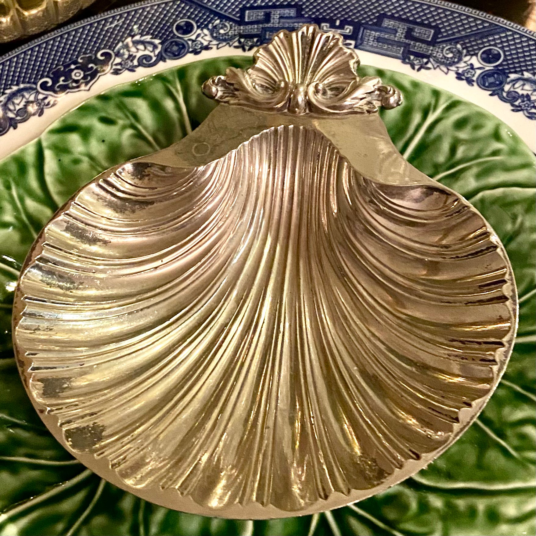 Sea Shell Dish - Coastal Cool