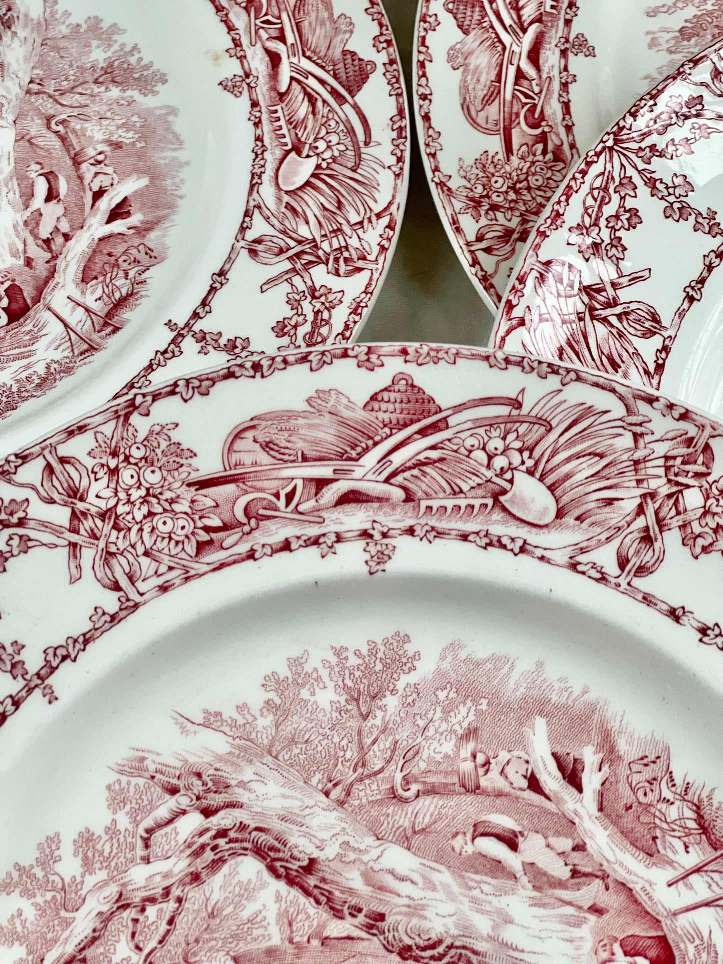 Vintage Set (5) Pastoral Davenport Red / Pink Transferware Dinner Plates