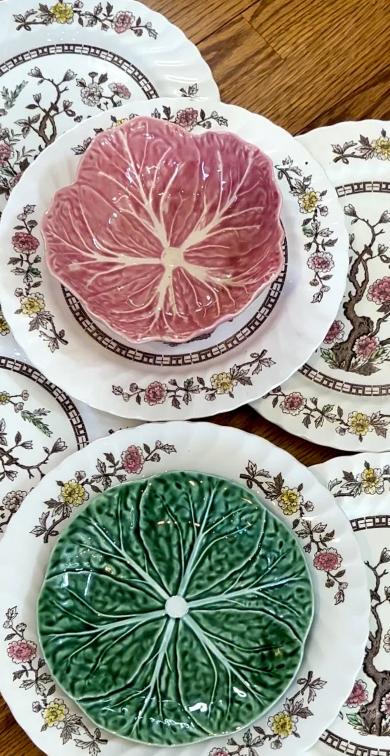 Set of 6 vintage Kashmir tree stunning scalloped dinner plates