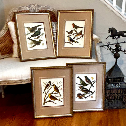 Four fabulous vintage Audubon bird and botanical framed art