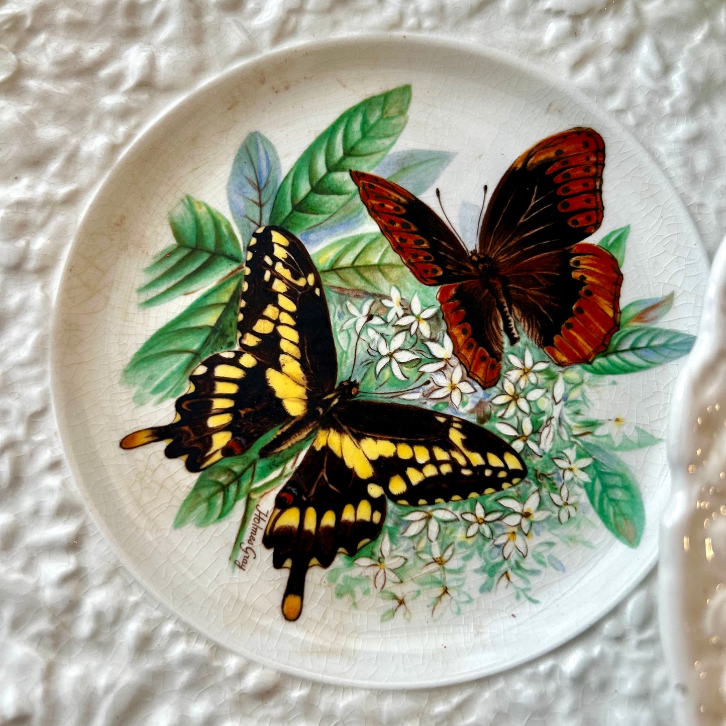 Set of 6 vintage designer butterfly plates By Henry Pausch of England