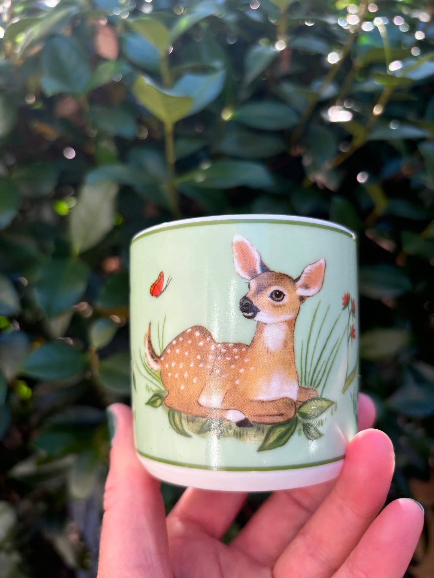 Lynn Chase Forest Friends Child’s plate and cup! - Excellent condition!