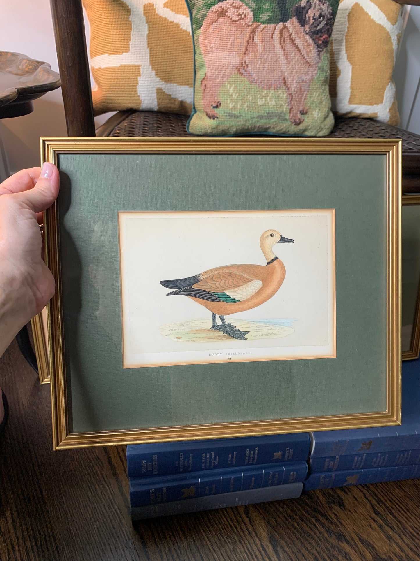 Set (4) Framed Fowl Prints