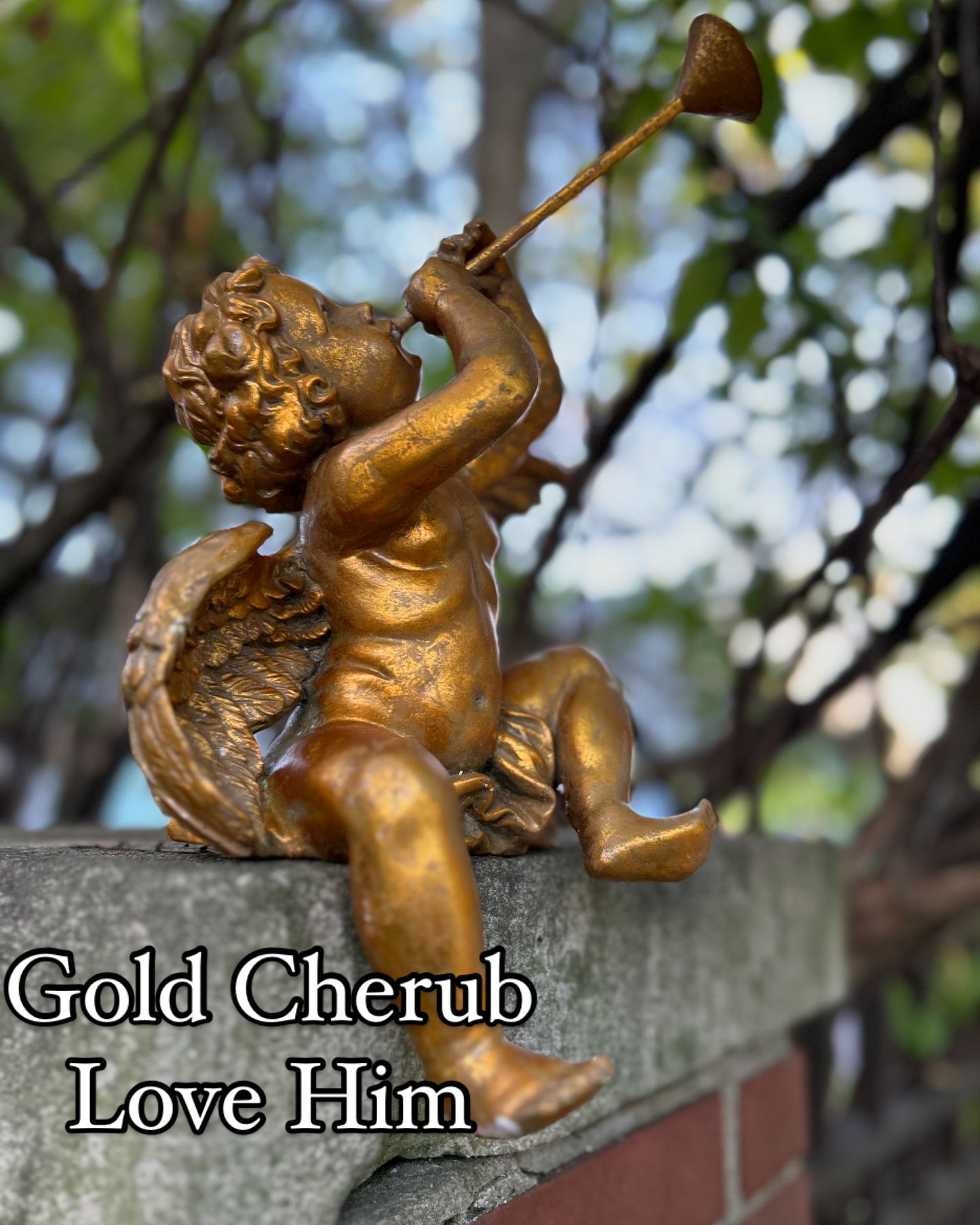 Italian Gold Cherub with Horn