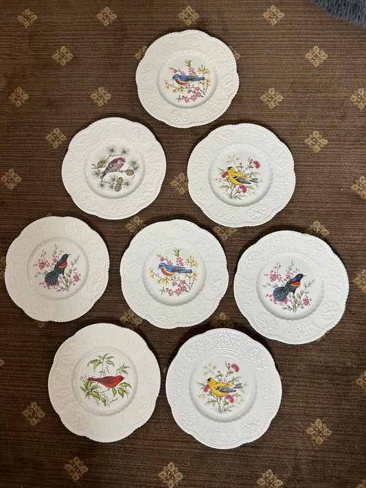 (Copy) Set of 8 Royal Cauldon Bird Plates