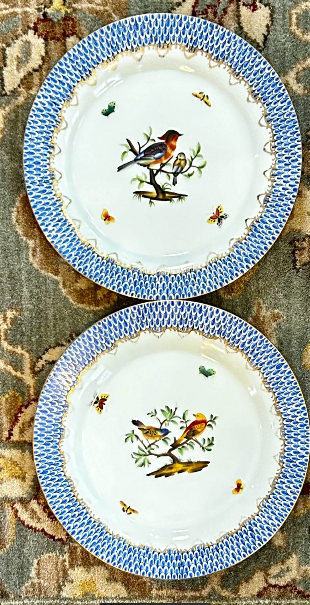 3 Available Gorgeous Large Andrea Sadek Fishnet Blue Banded Dinner Plates w Birds sold each