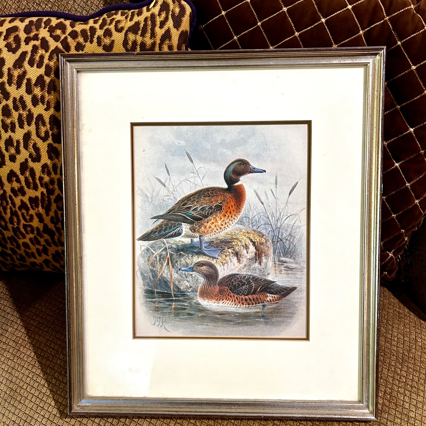 Handsome Pair of mallard ducks color lithography wall art  18 x 15