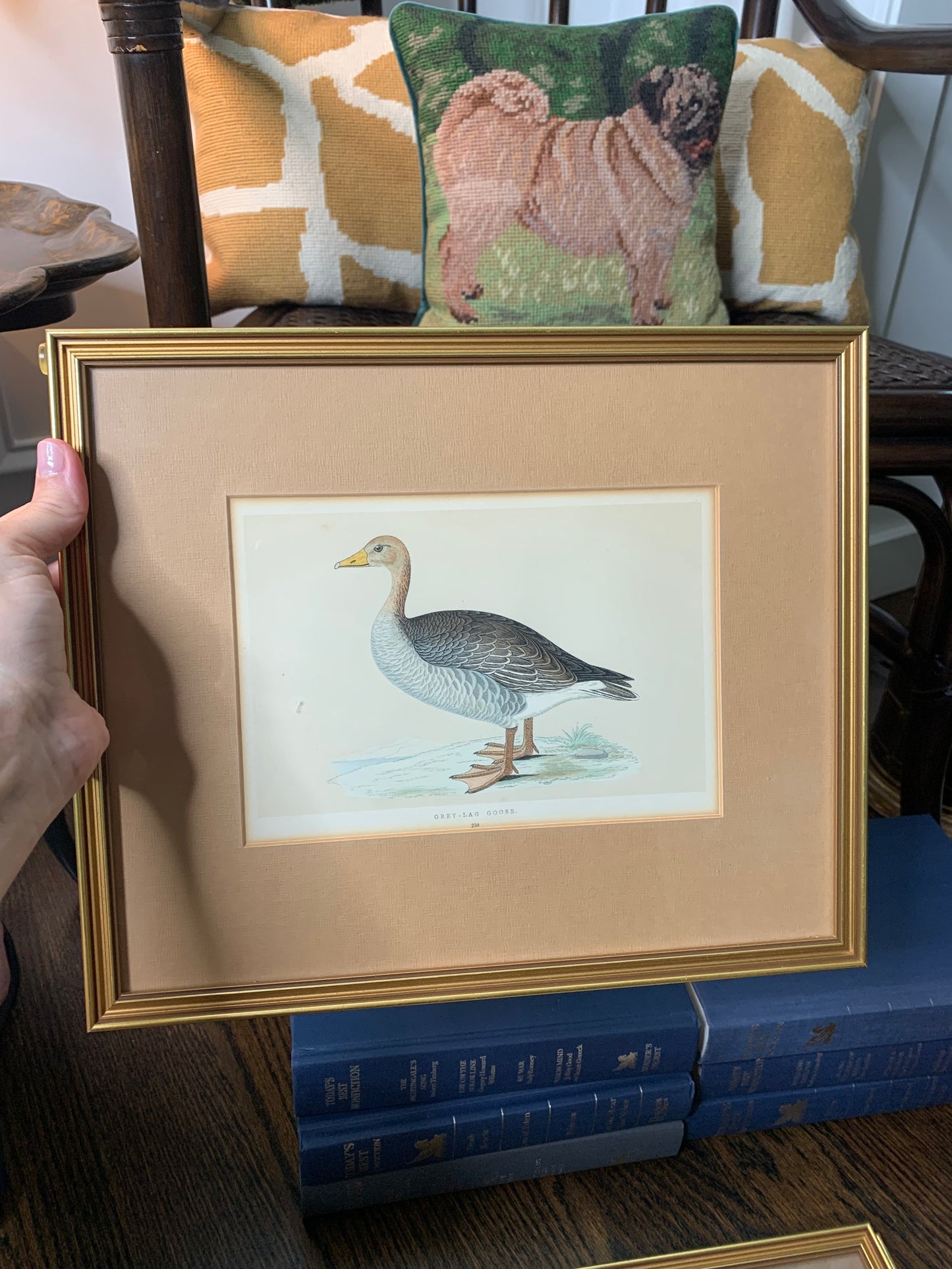 Set (4) Framed Fowl Prints