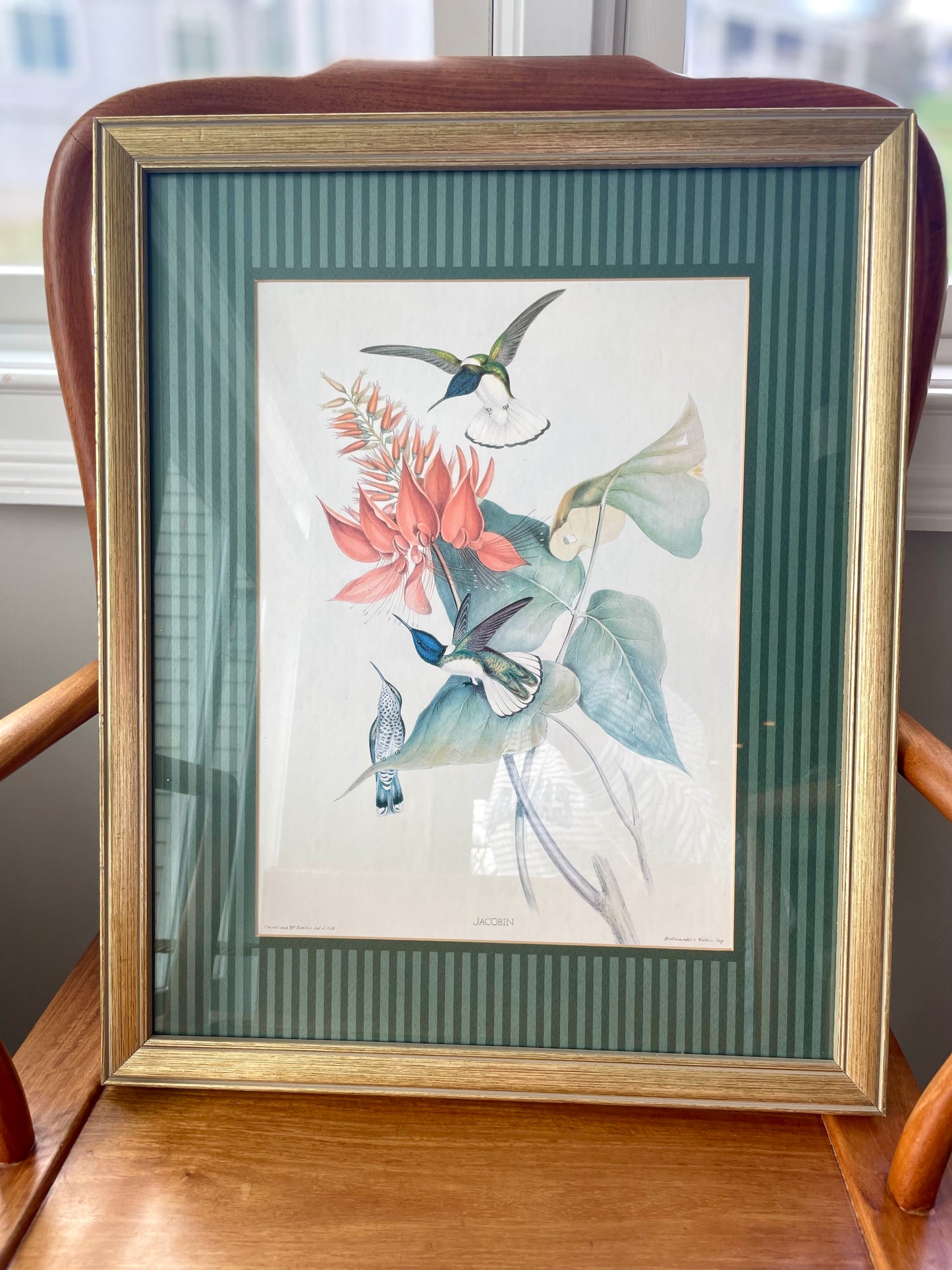 Vintage Pair Limited Edition Hummingbird Prints with Green Striped Matting & Gold Frames