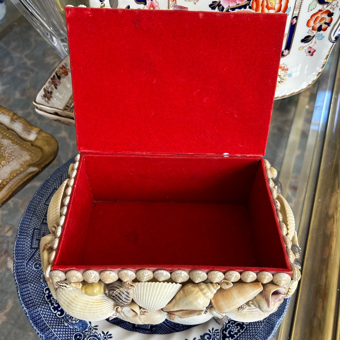 Massive gorgeous coastal chic real seashell lidded box decor