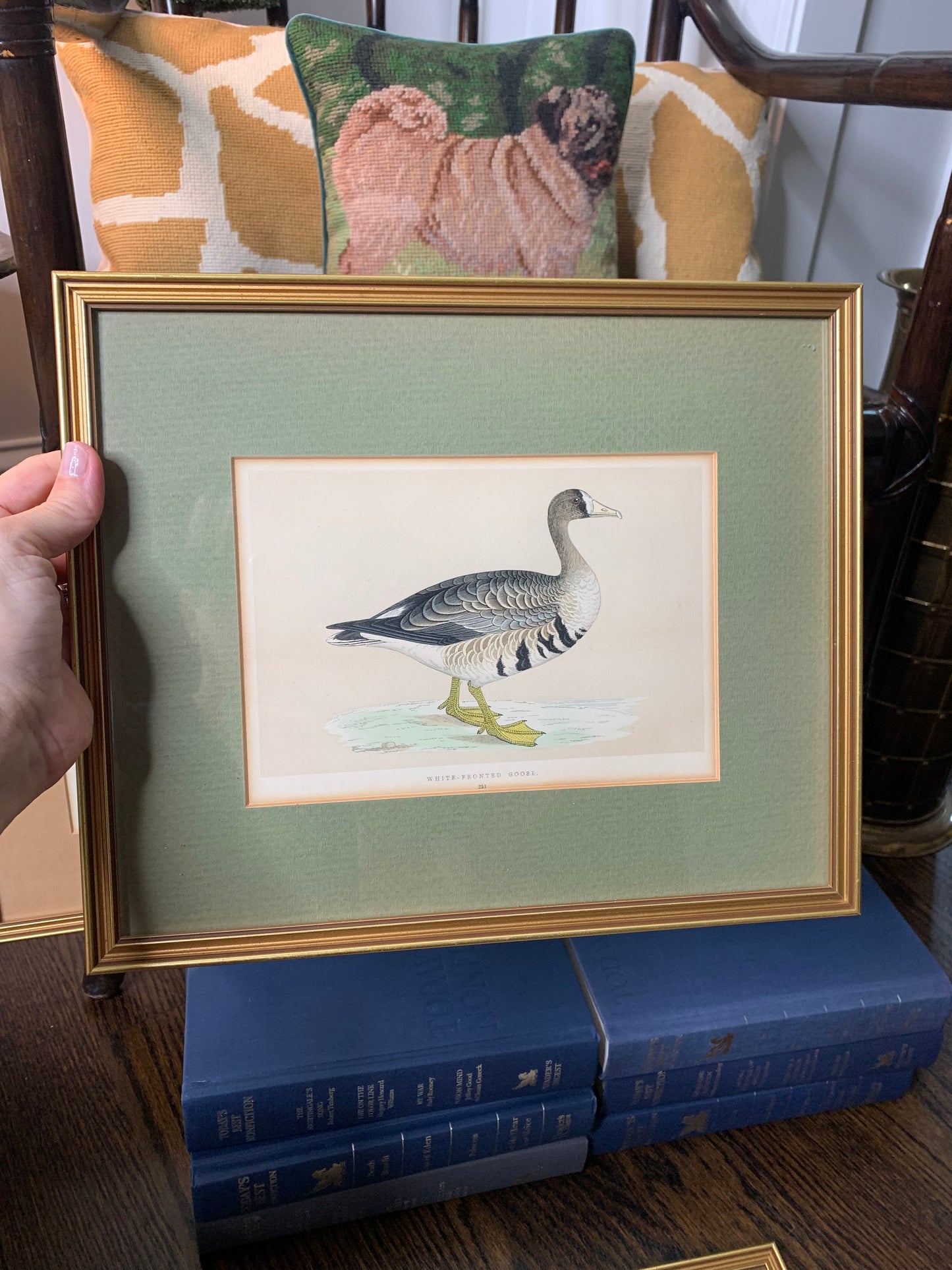 Set (4) Framed Fowl Prints