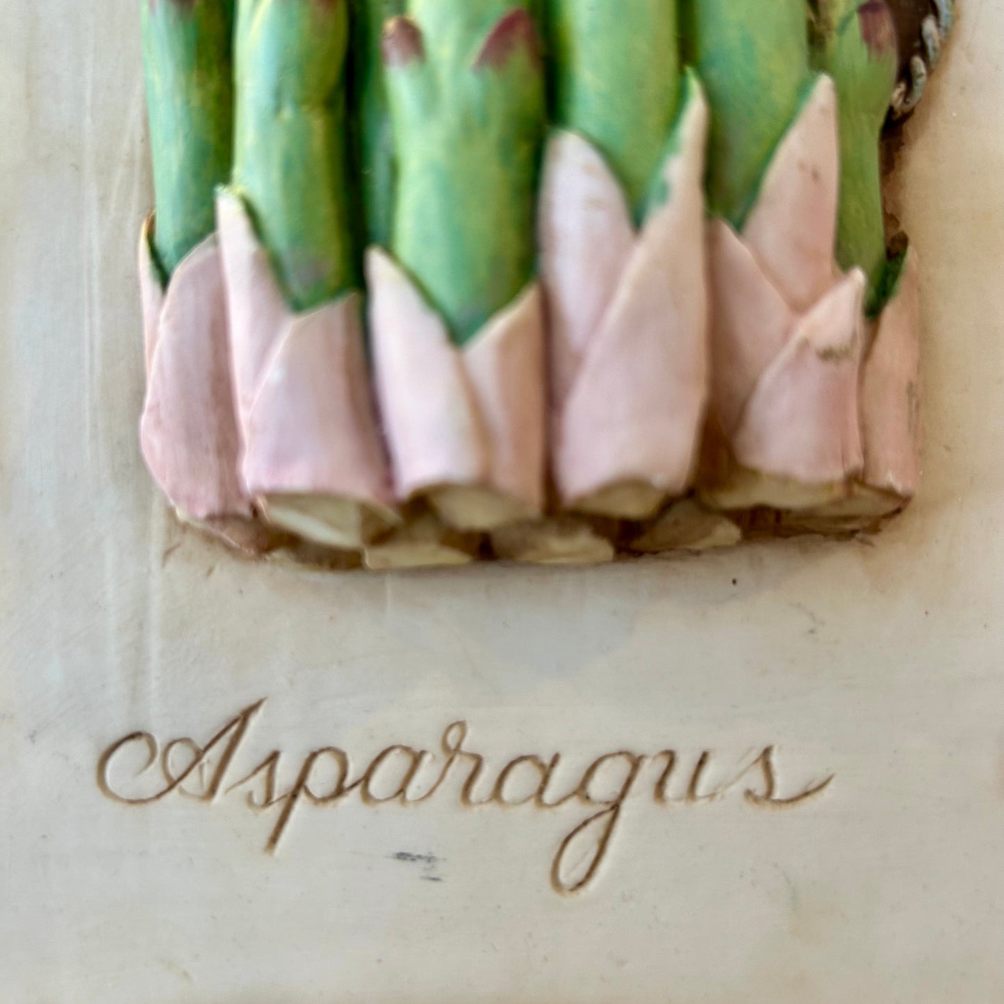 Whimsical hand painted Asparagus wall plaque art