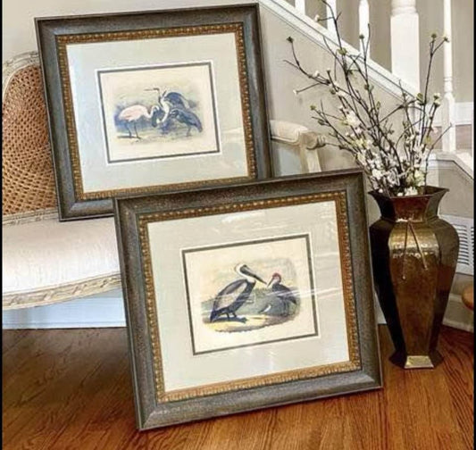 Gorgeous Pair of massive coastal chic Audubon bird wall art