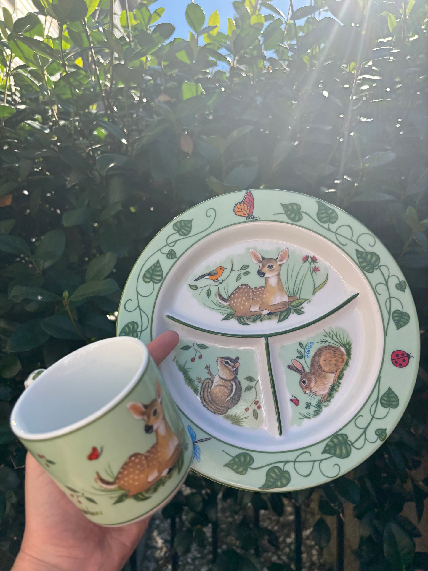 Lynn Chase Forest Friends Child’s plate and cup! - Excellent condition!