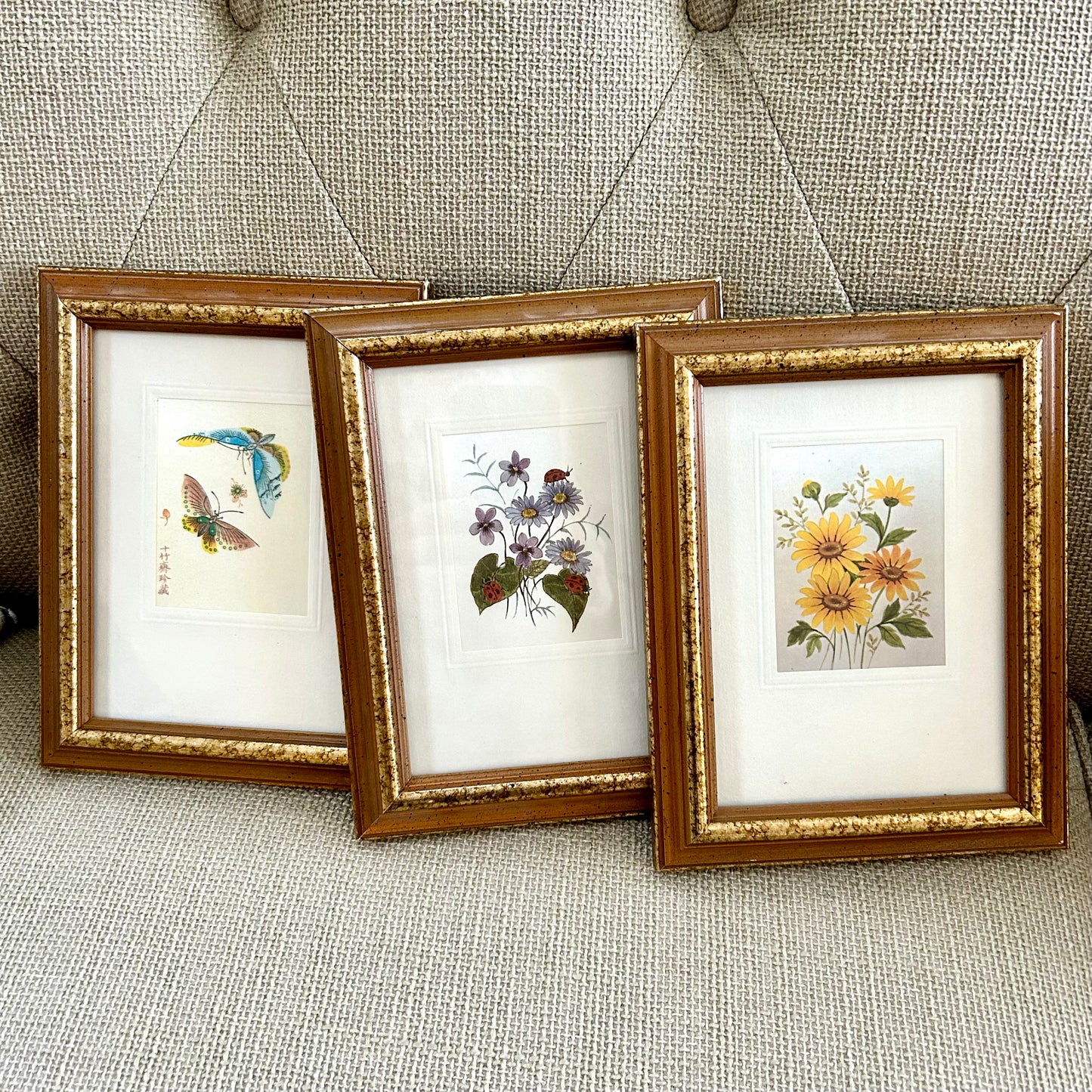 Trio of vintage butterfly & botanical wall art.