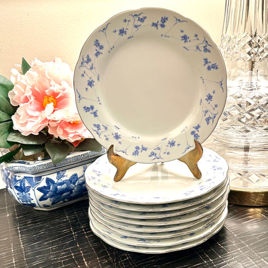 Set of 9 blue & white vintage floral porcelain dessert or salad plates.