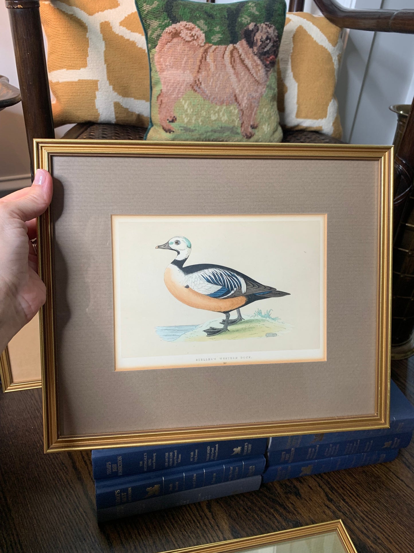 Set (4) Framed Fowl Prints