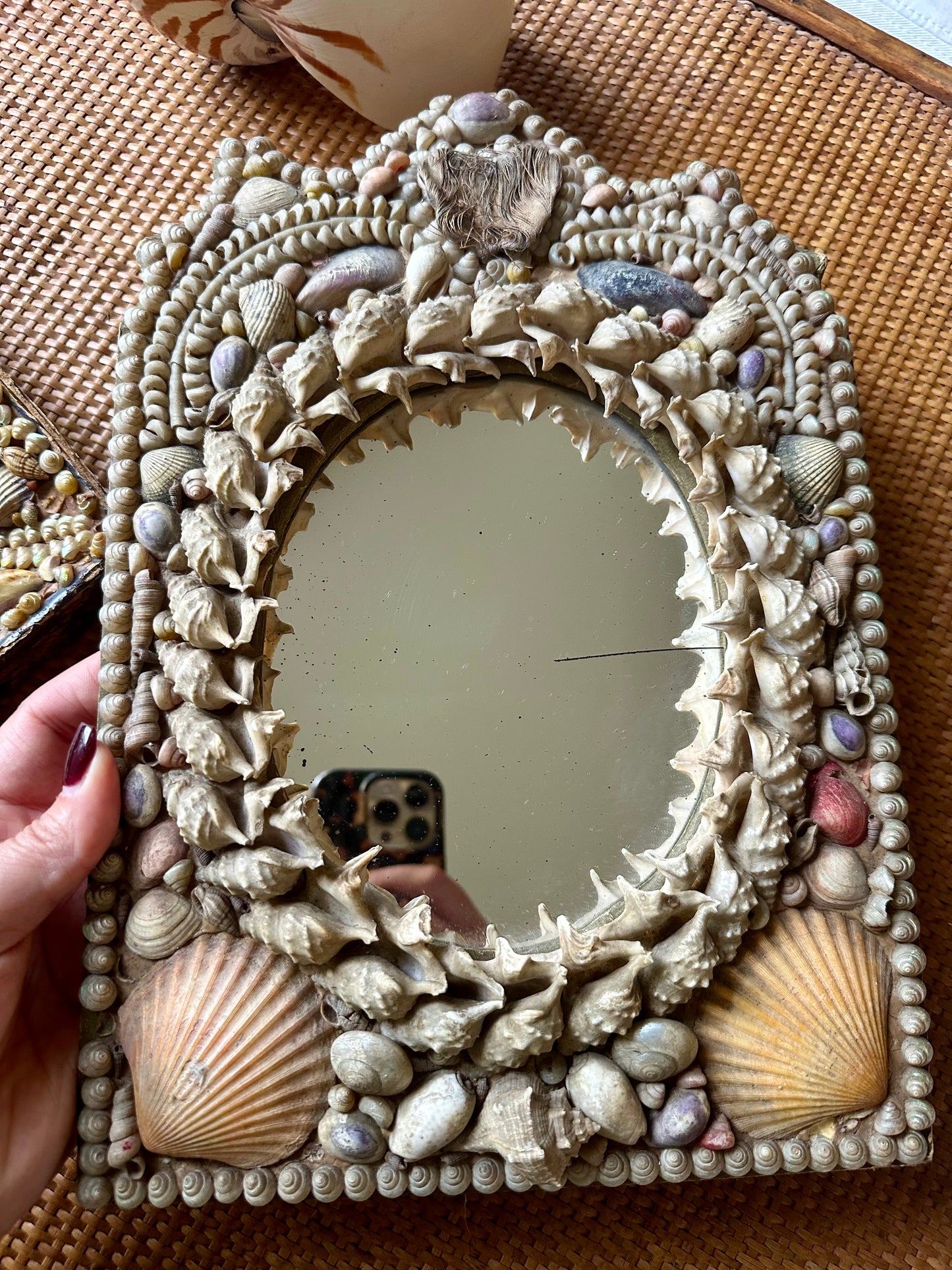 Rare 19thc Victorian Shell Art Framed Mirror