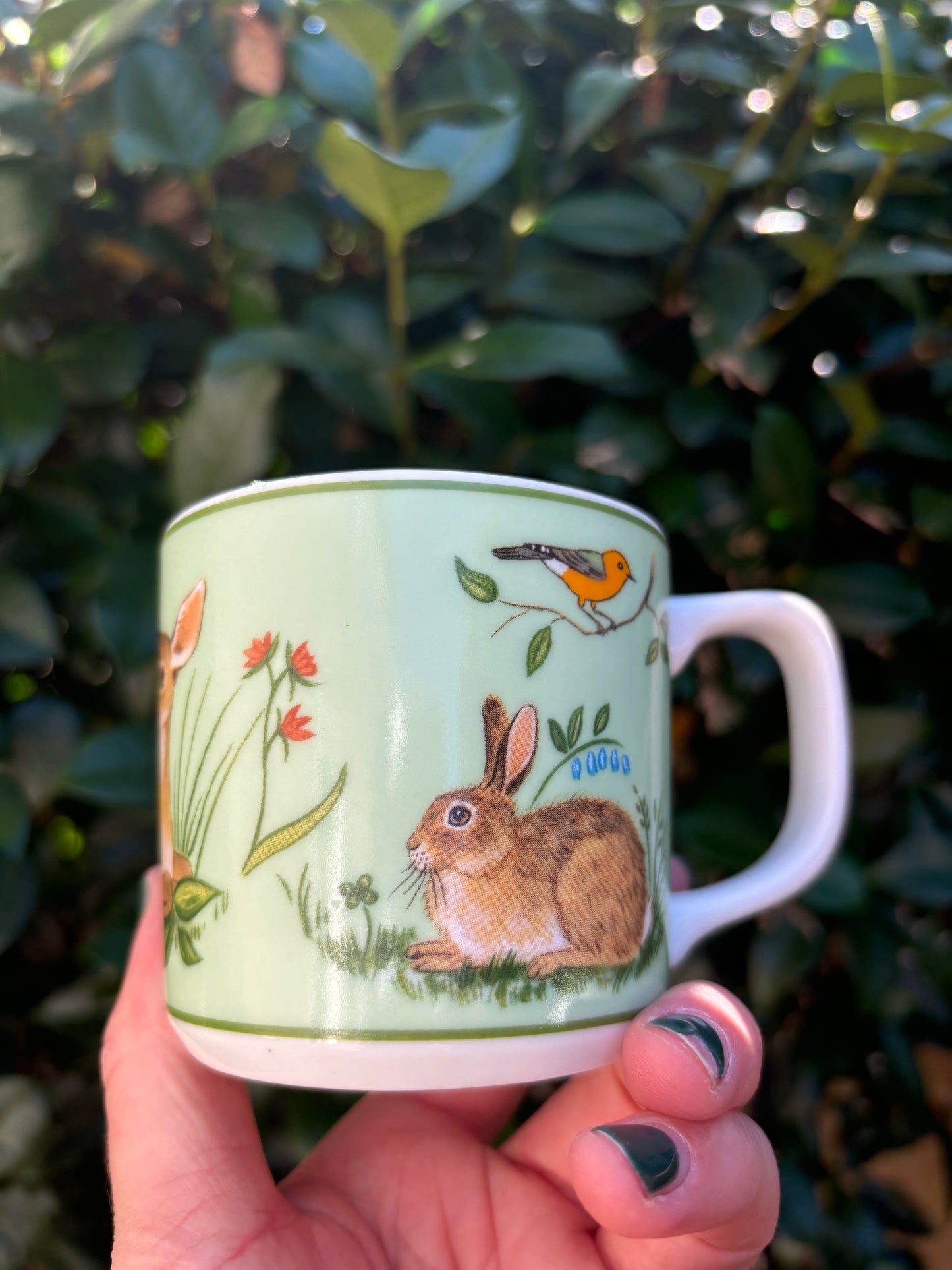 Lynn Chase Forest Friends Child’s plate and cup! - Excellent condition!