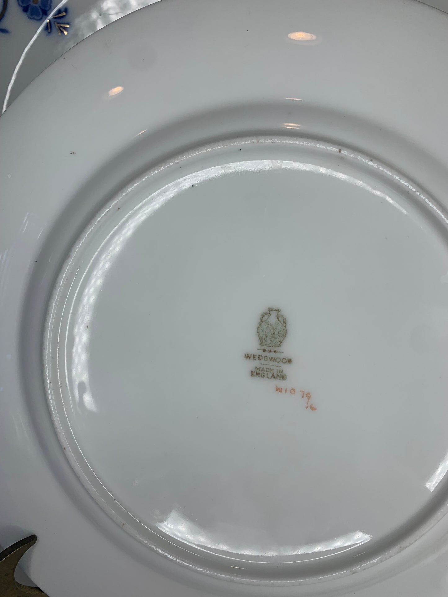 Wedgwood Florentine Dark Blue Rim Luncheon Plate, 9”D - Excellent!