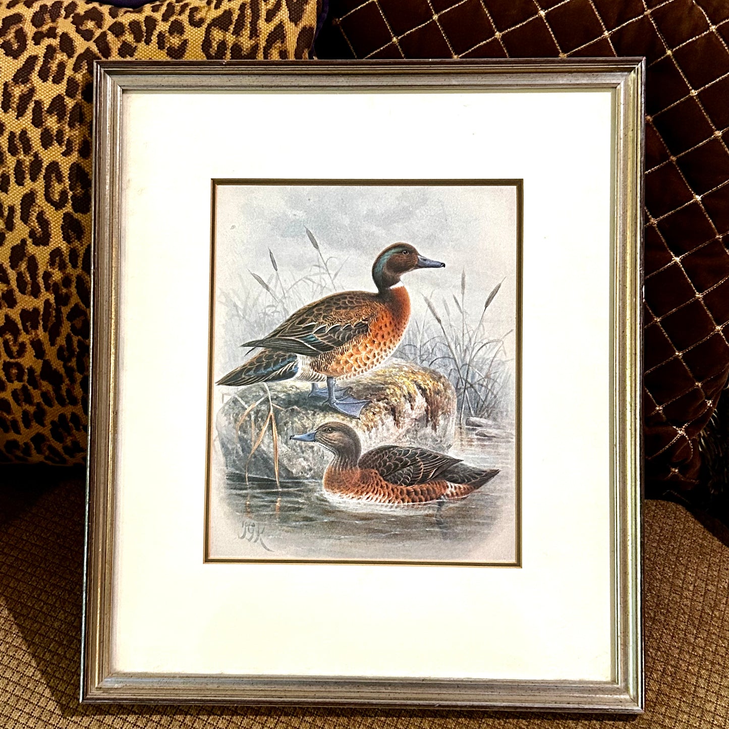 Handsome Pair of mallard ducks color lithography wall art  18 x 15