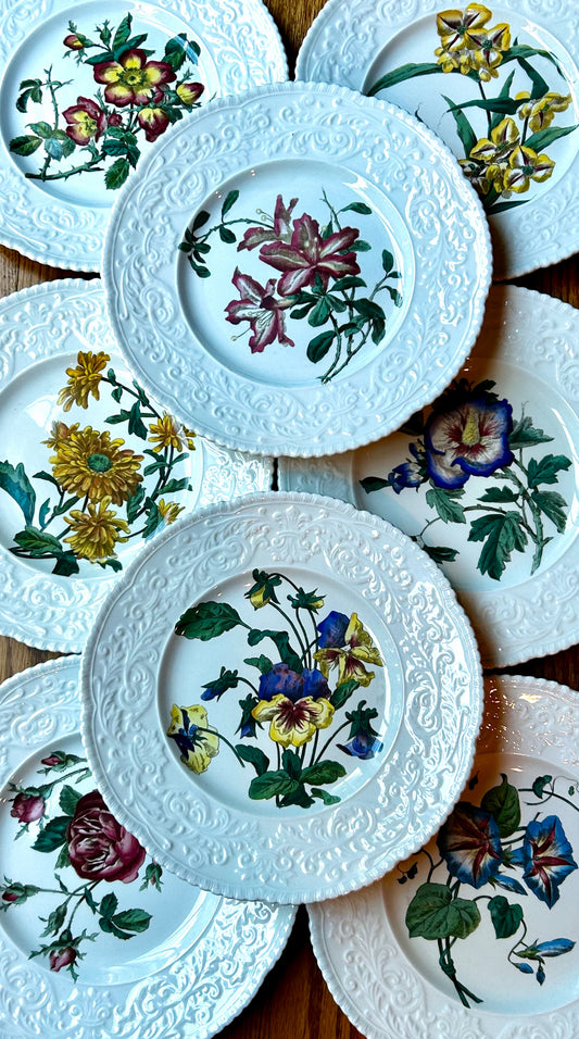 Set of 8 antique rare vintage designer botanical charger plates by Royal Cauldon England 11.25 d