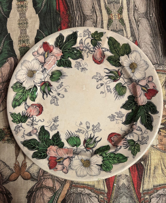Beautiful Staffordshire Transferware plate with Colorful painting! This plate has an overall glaze stain but it doesn’t mar its beauty!