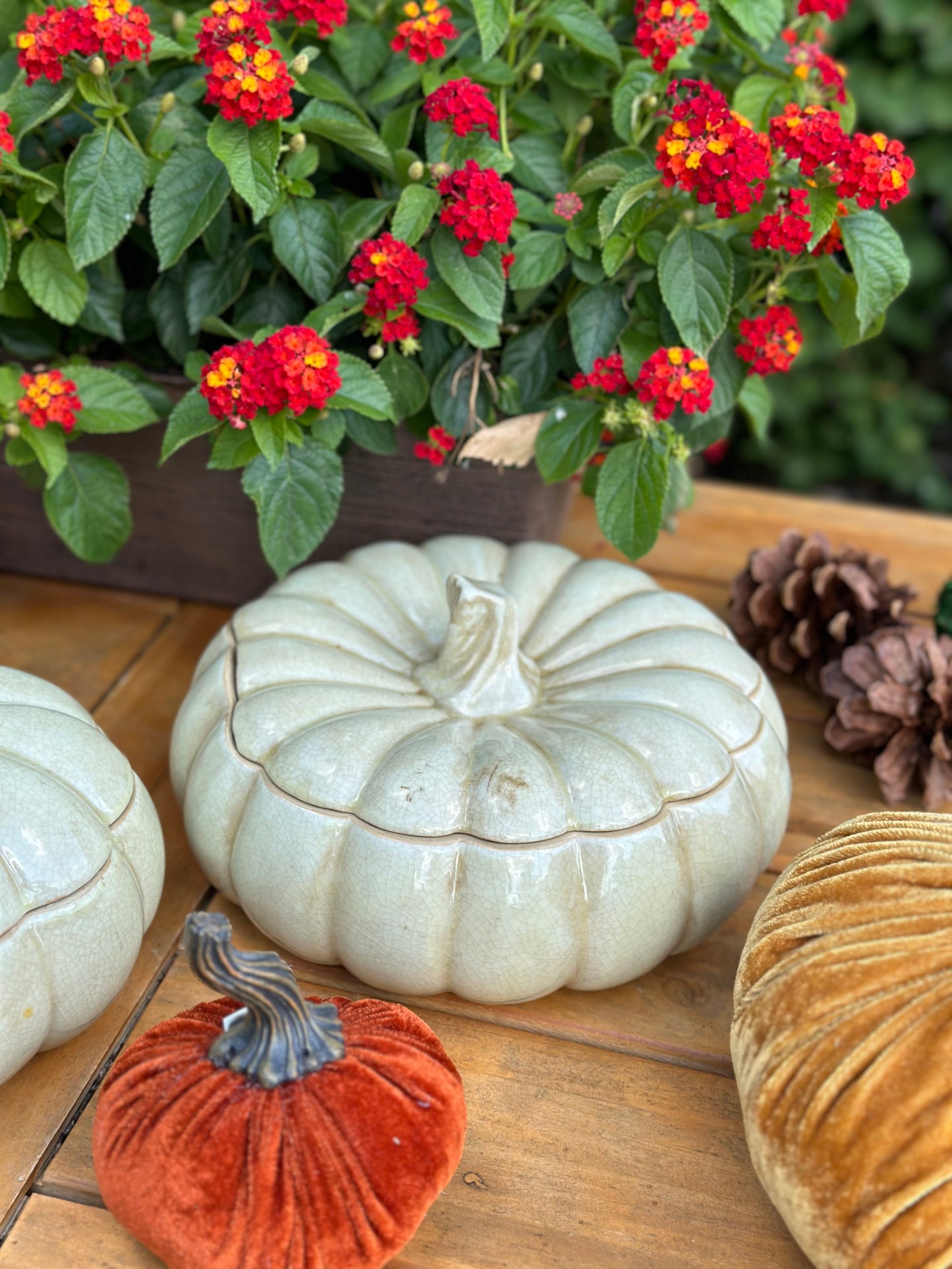 Ceramic Cream Pumpkin Jars (Sold Separately)