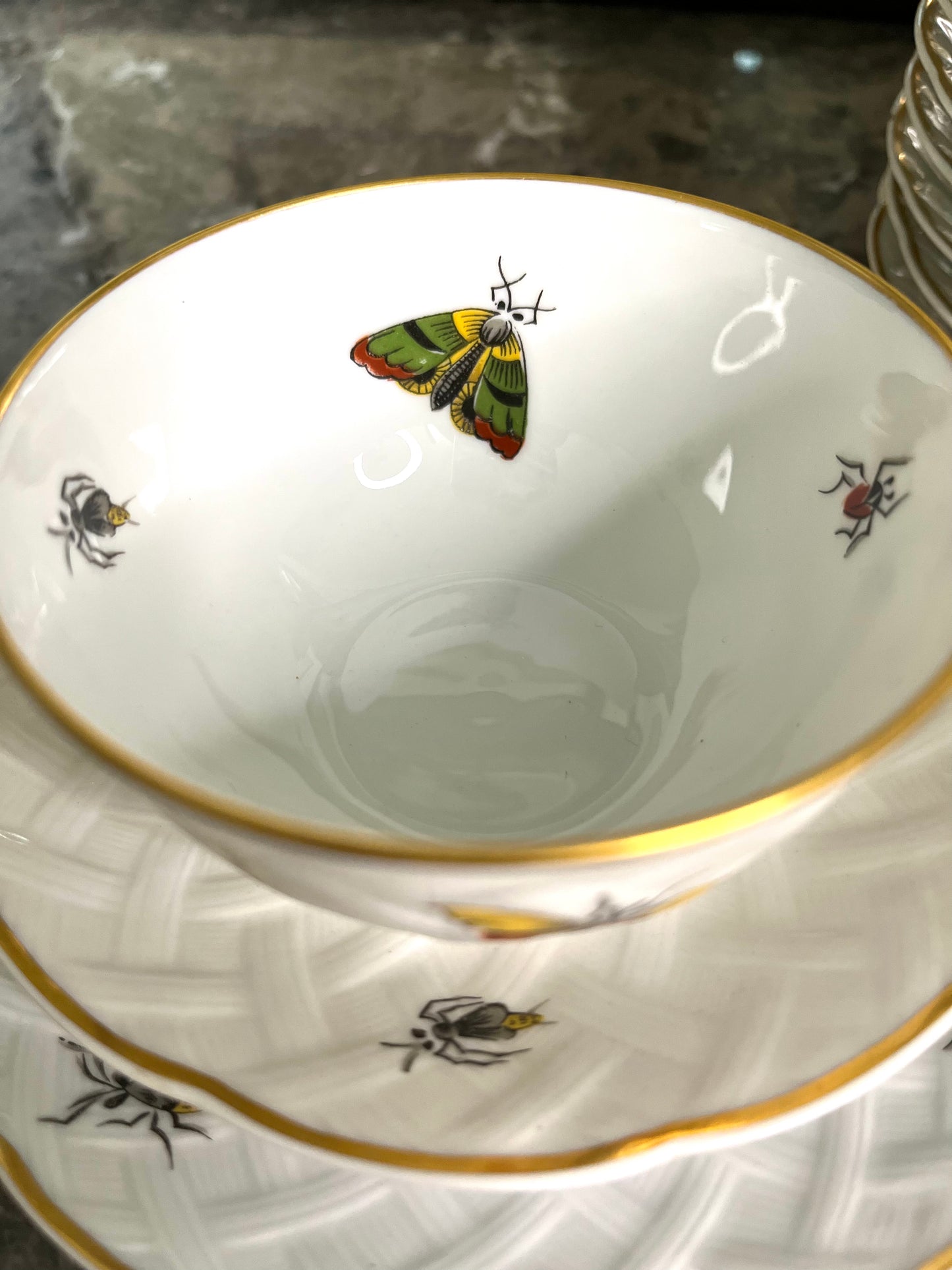 Exquisite Extremely Rare Vintage L. Bernardaud Limoges “Virginie” Birds and Bugs Porcelain Dessert Set - 10 Small Plates/10 Teacups/10 Saucers