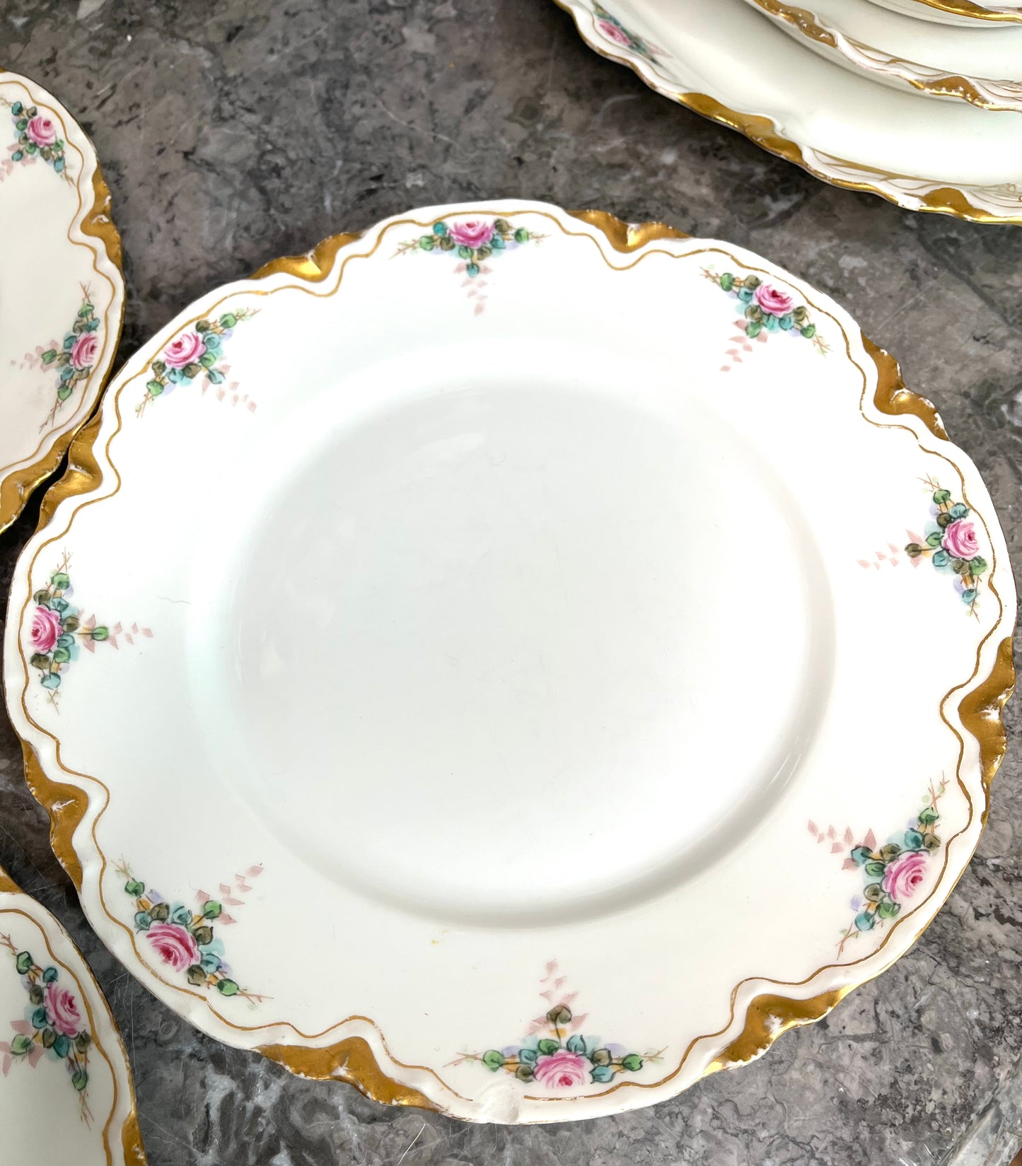 Gorgeous Antique Turn of 20th Century Haviland France 4 Platter Set With 3 Bonus Dinner Plates