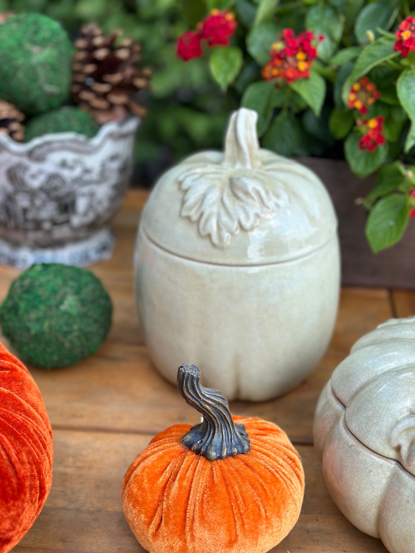 Ceramic Cream Pumpkin Jars (Sold Separately)