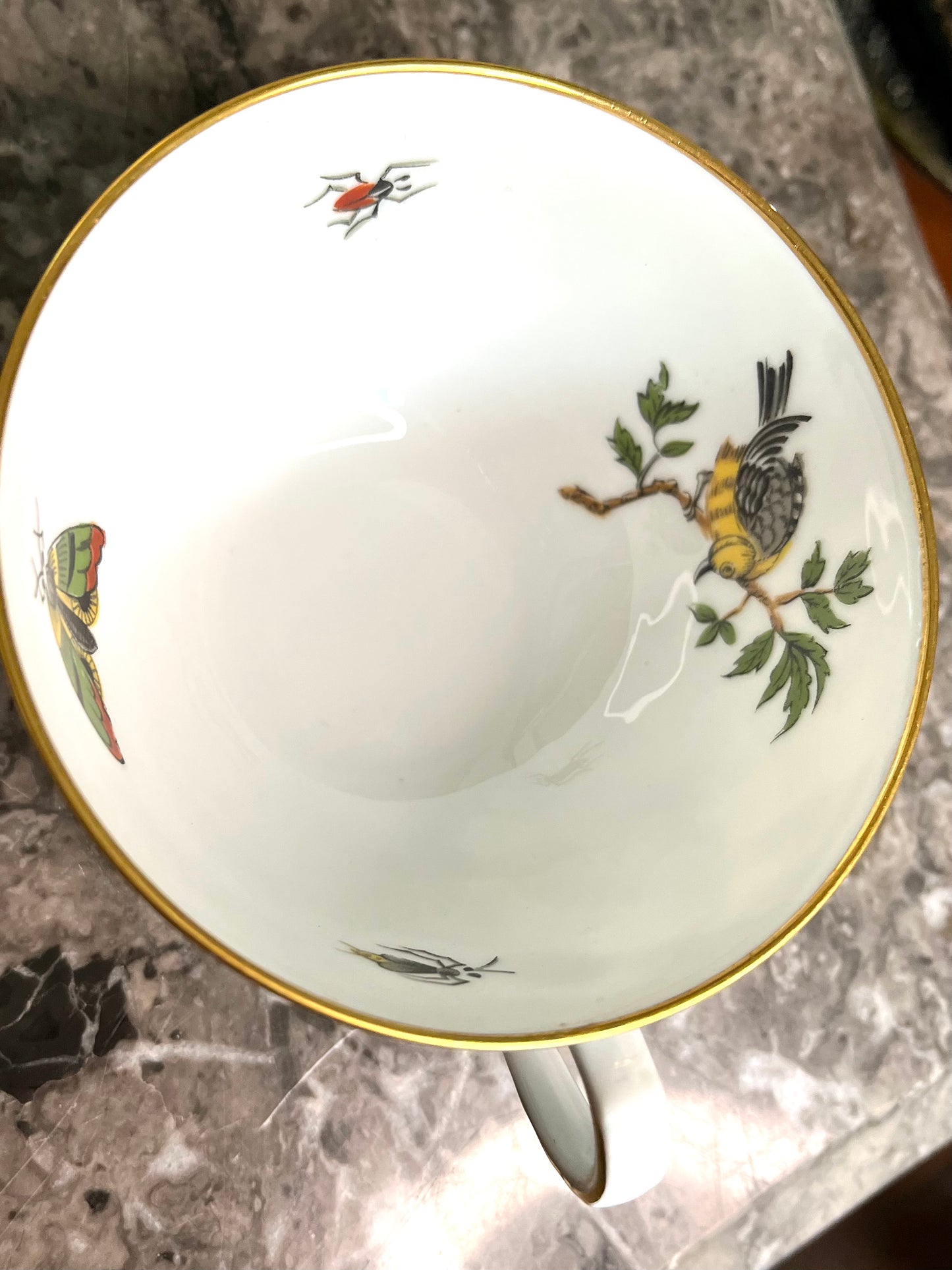 Exquisite Extremely Rare Vintage L. Bernardaud Limoges “Virginie” Birds and Bugs Porcelain Dessert Set - 10 Small Plates/10 Teacups/10 Saucers