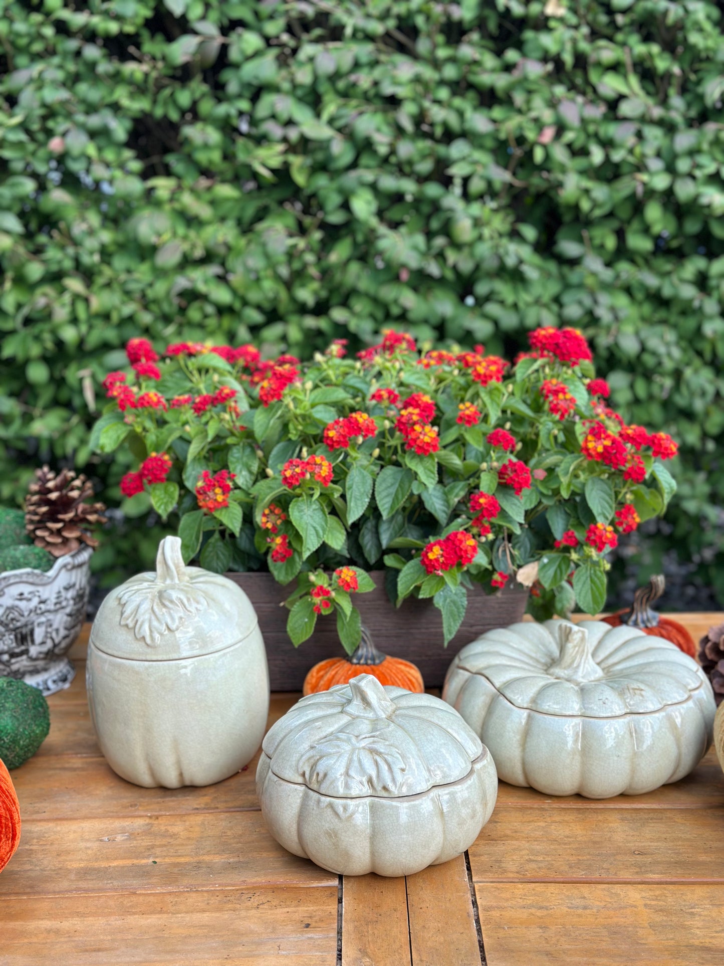 Ceramic Cream Pumpkin Jars (Sold Separately)