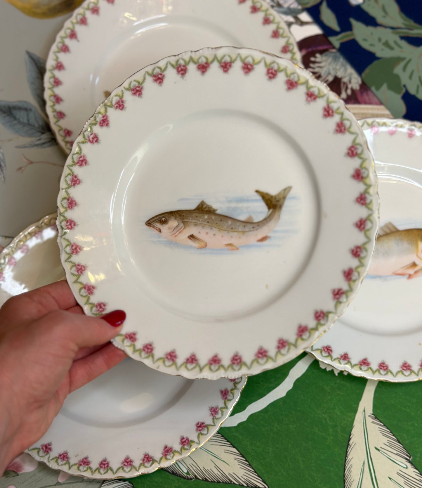 Antique Set (4) 8.5”D Fish Plates - Pristine!