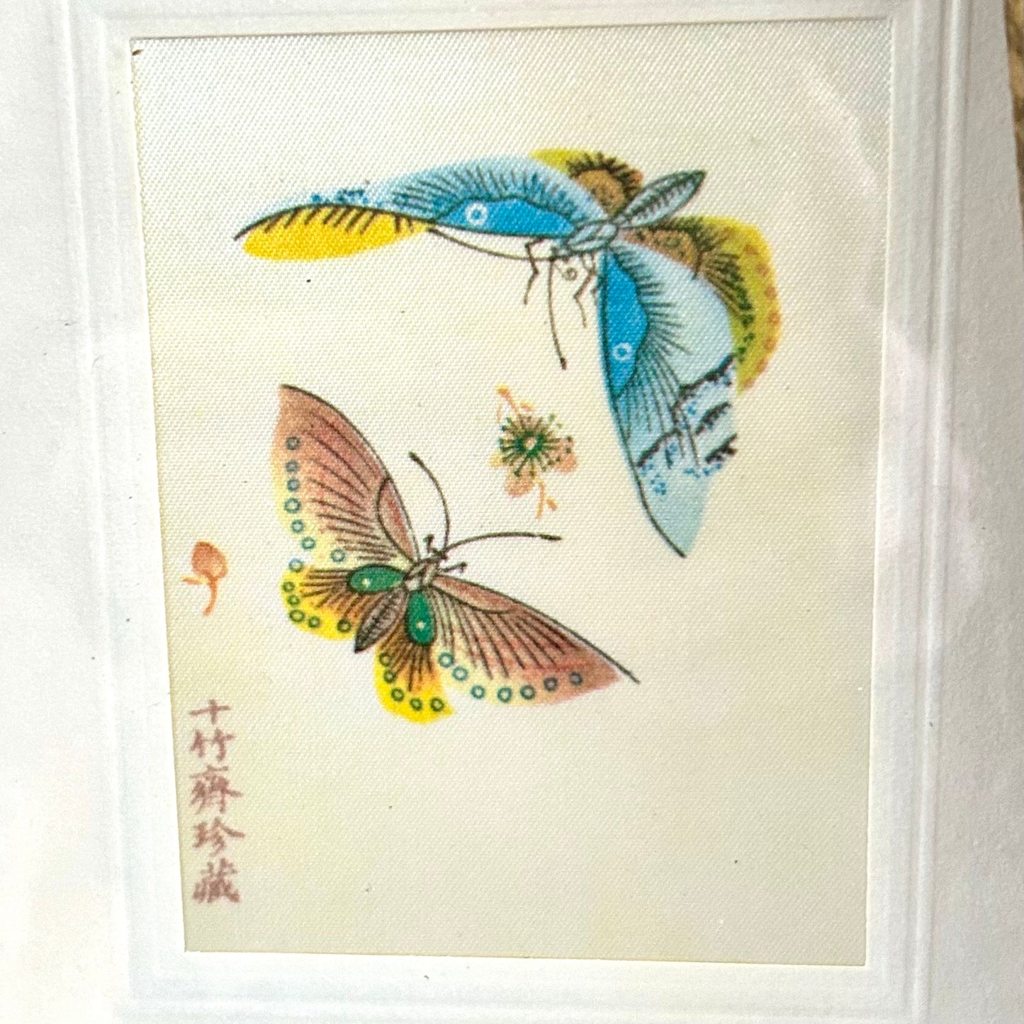 Trio of vintage butterfly & botanical wall art.