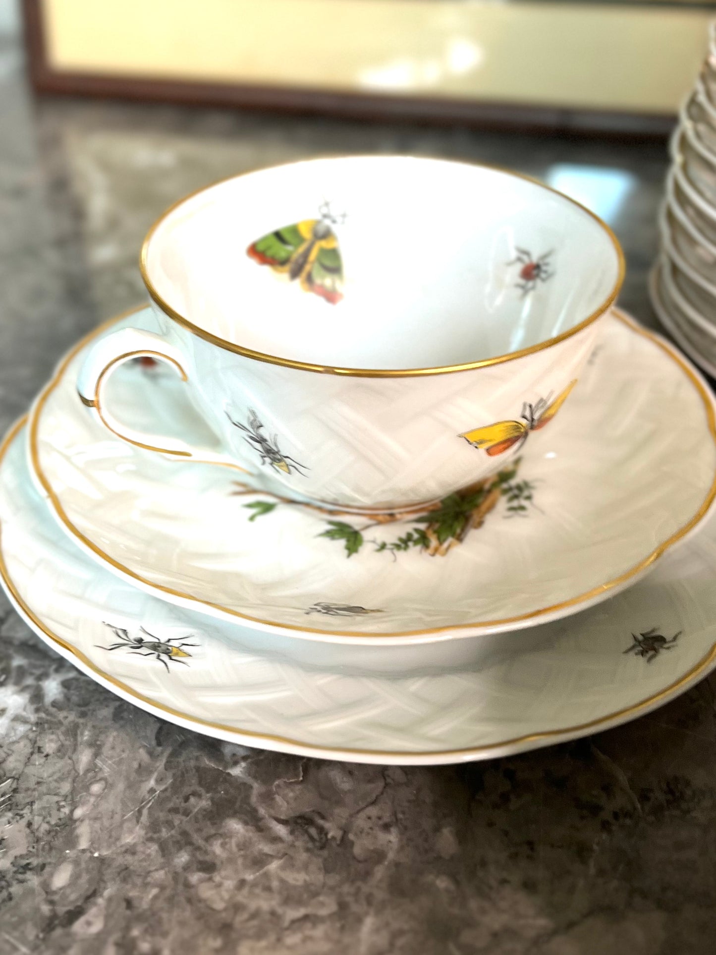 Exquisite Extremely Rare Vintage L. Bernardaud Limoges “Virginie” Birds and Bugs Porcelain Dessert Set - 10 Small Plates/10 Teacups/10 Saucers