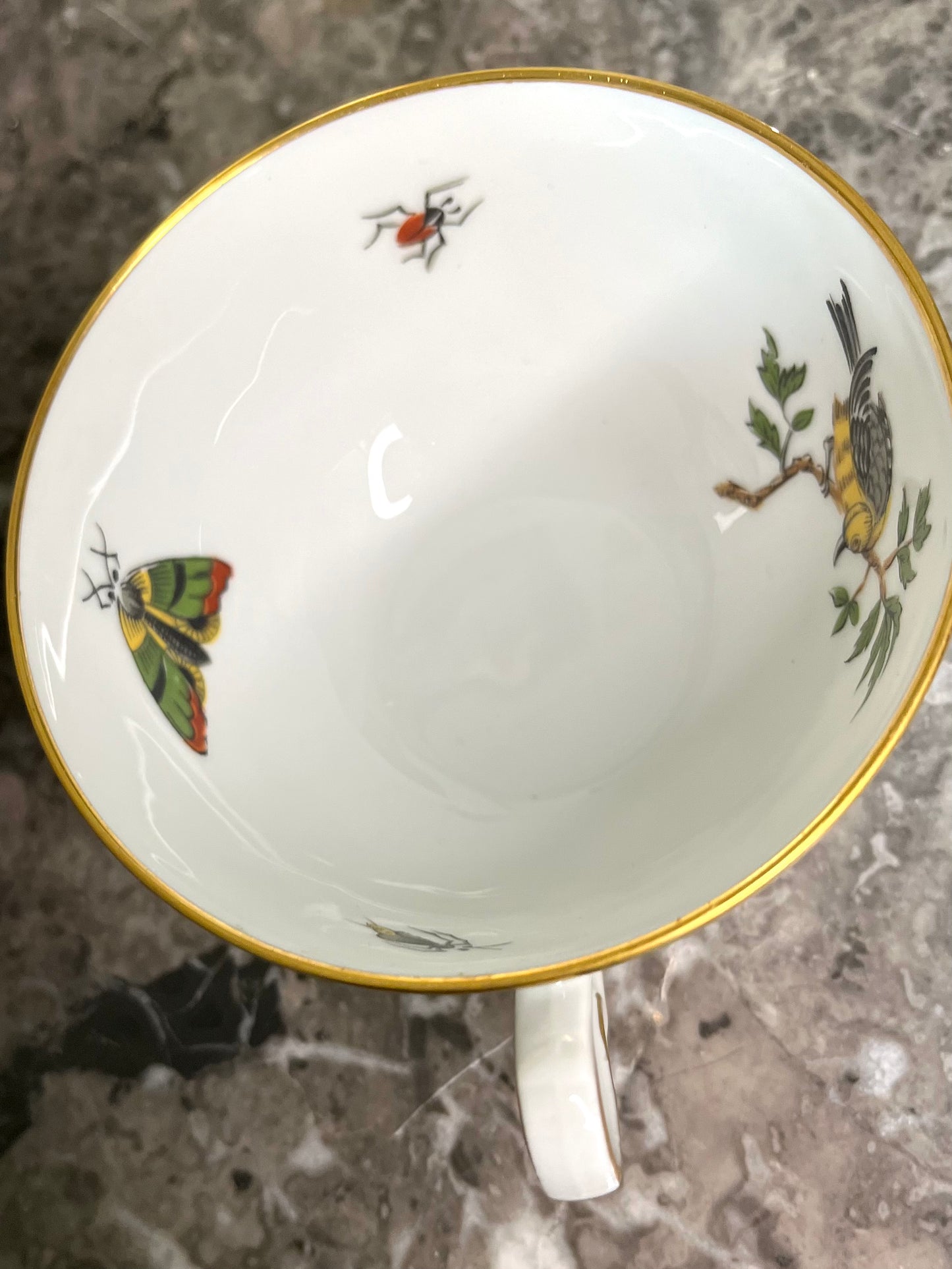 Exquisite Extremely Rare Vintage L. Bernardaud Limoges “Virginie” Birds and Bugs Porcelain Dessert Set - 10 Small Plates/10 Teacups/10 Saucers