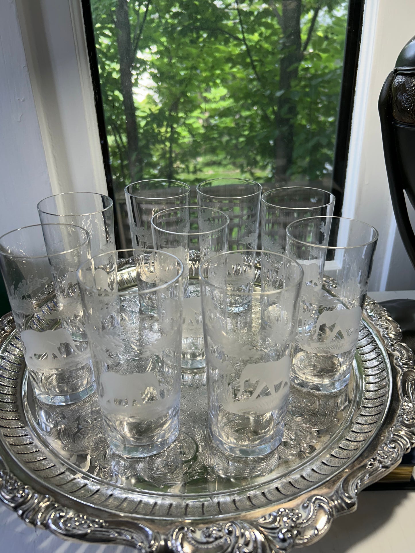 Vintage Set of 8 Hand Engraved Glasses with Elephants and Trees!