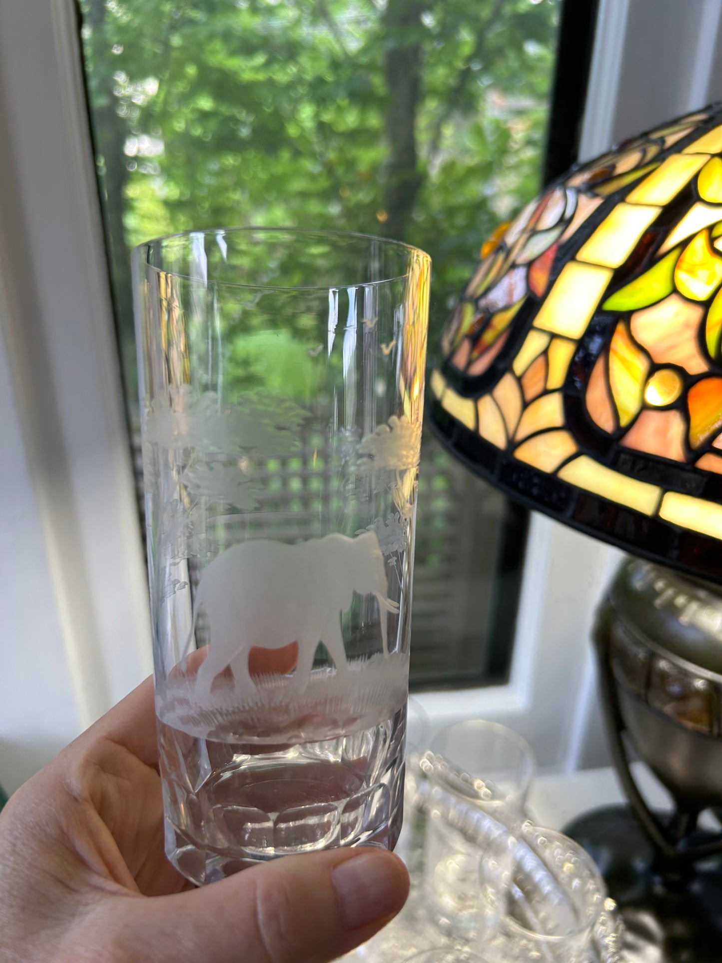 Vintage Set of 8 Hand Engraved Glasses with Elephants and Trees!