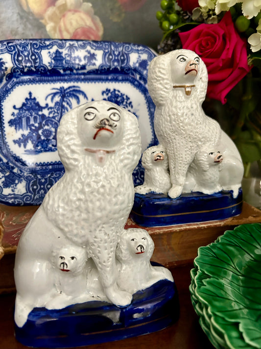 Pair 19th Century Staffordshire Poodles with Puppies