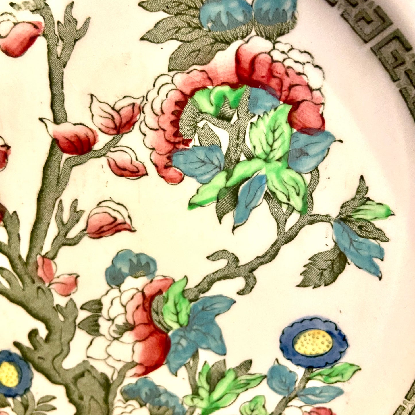 Beautiful Indian Tree by Johnson Brothers of England dinner plate