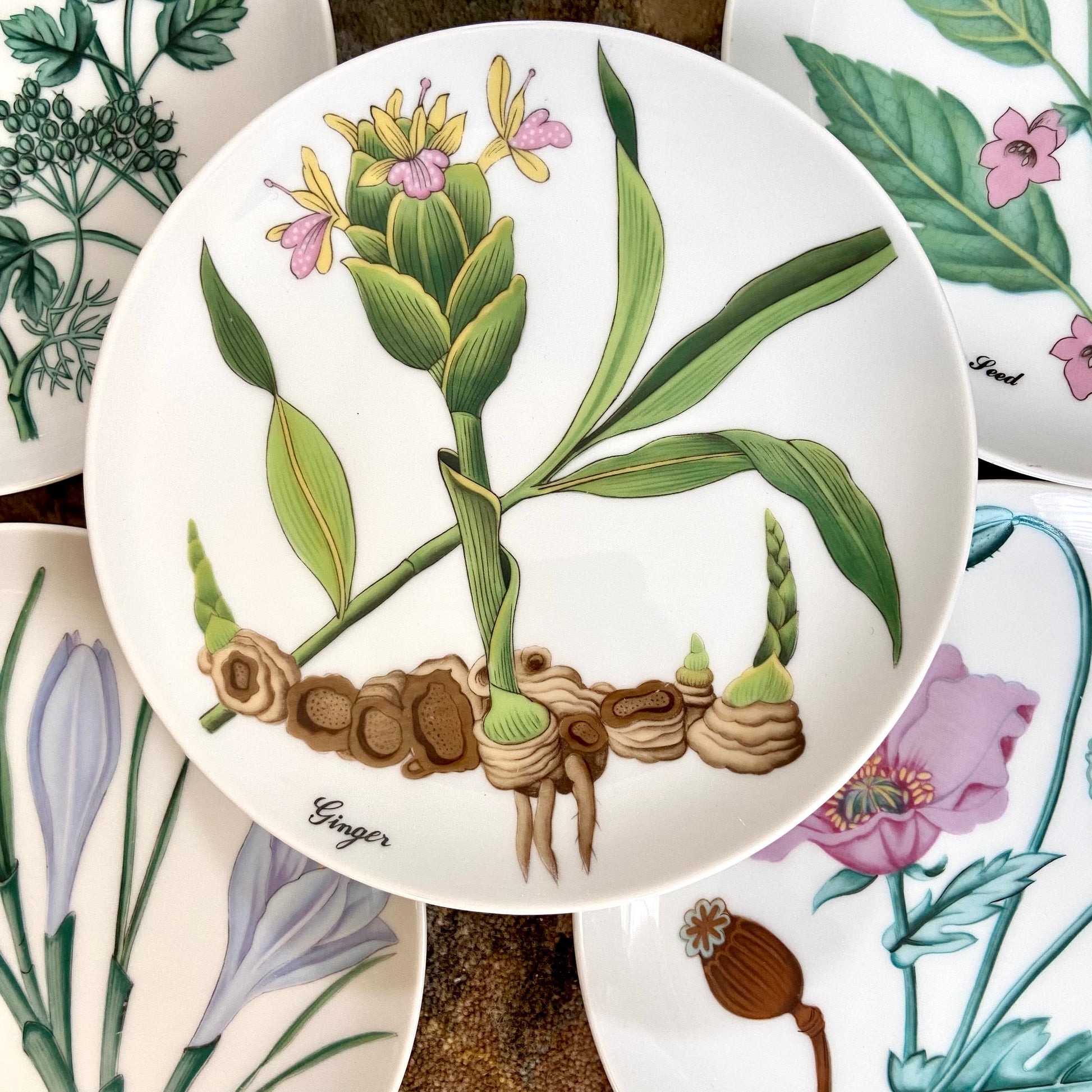 Designer Dinnerware at Neiman Marcus