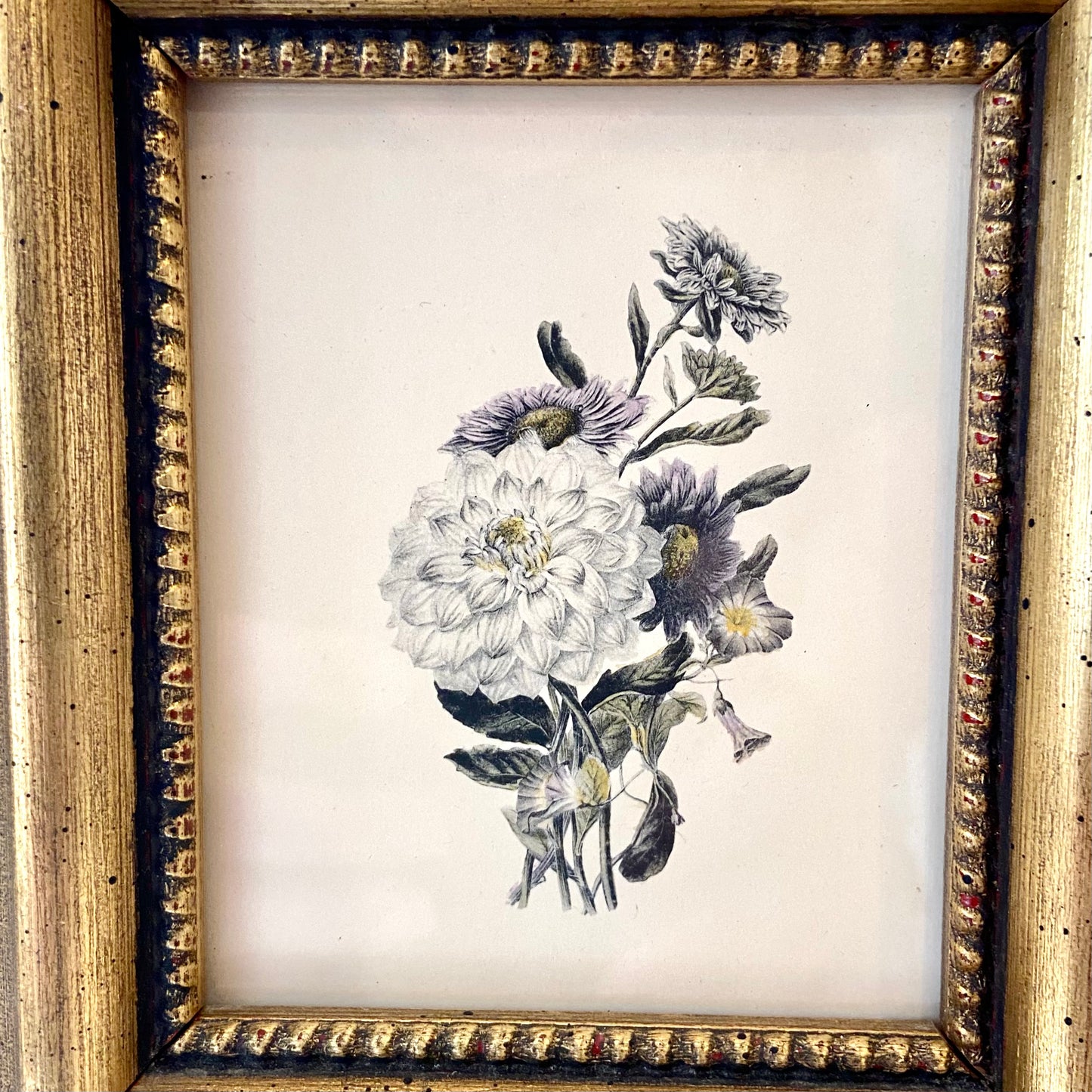 vintage botanical framed artwork wall art