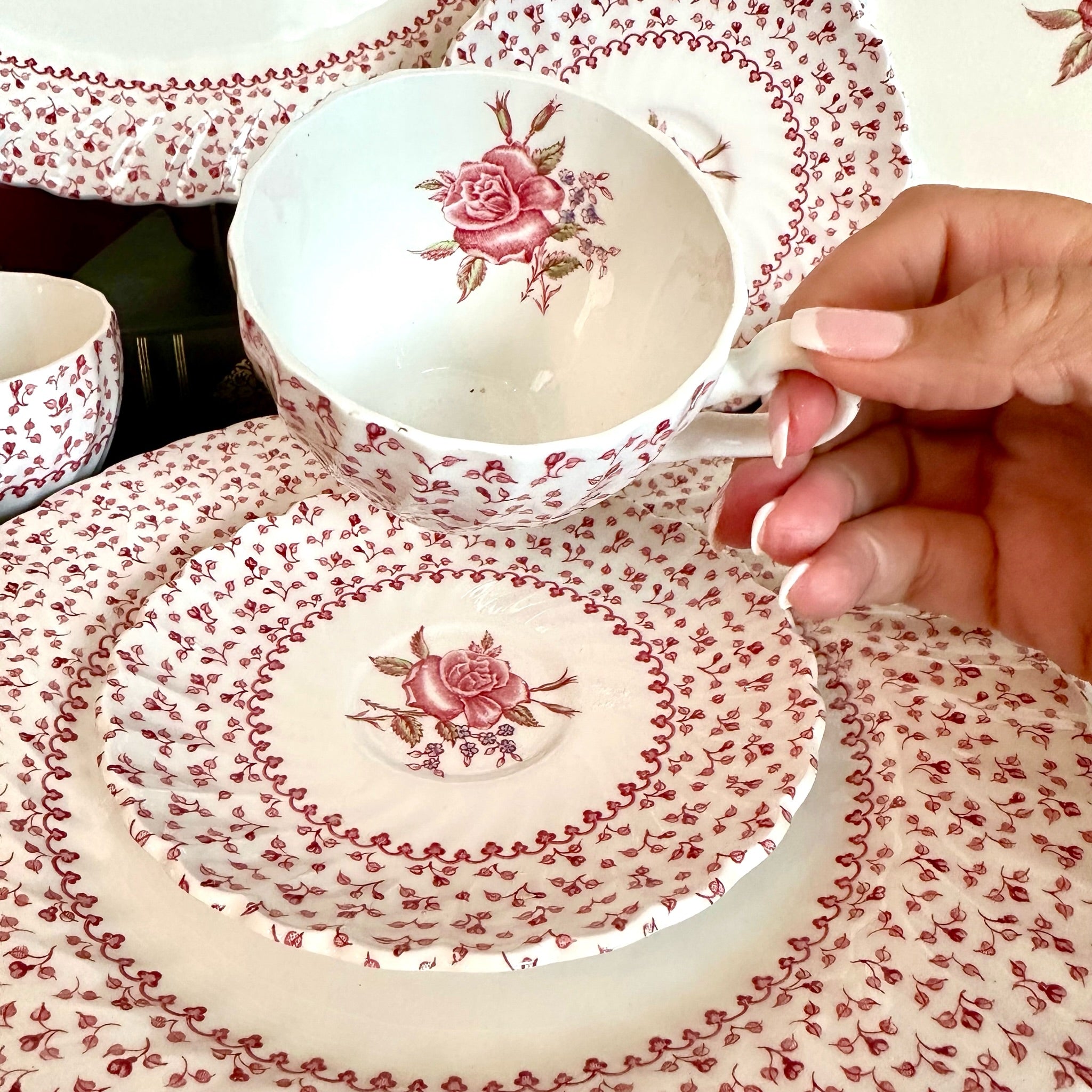 Prettiest Set of “Rose Bouquet” dishes by Johnson Bros